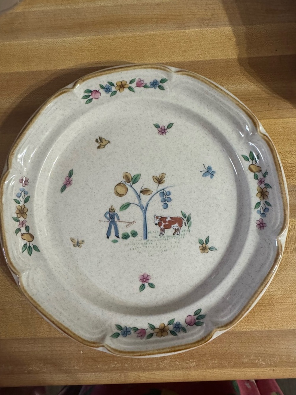 International Heartland Salad Plates